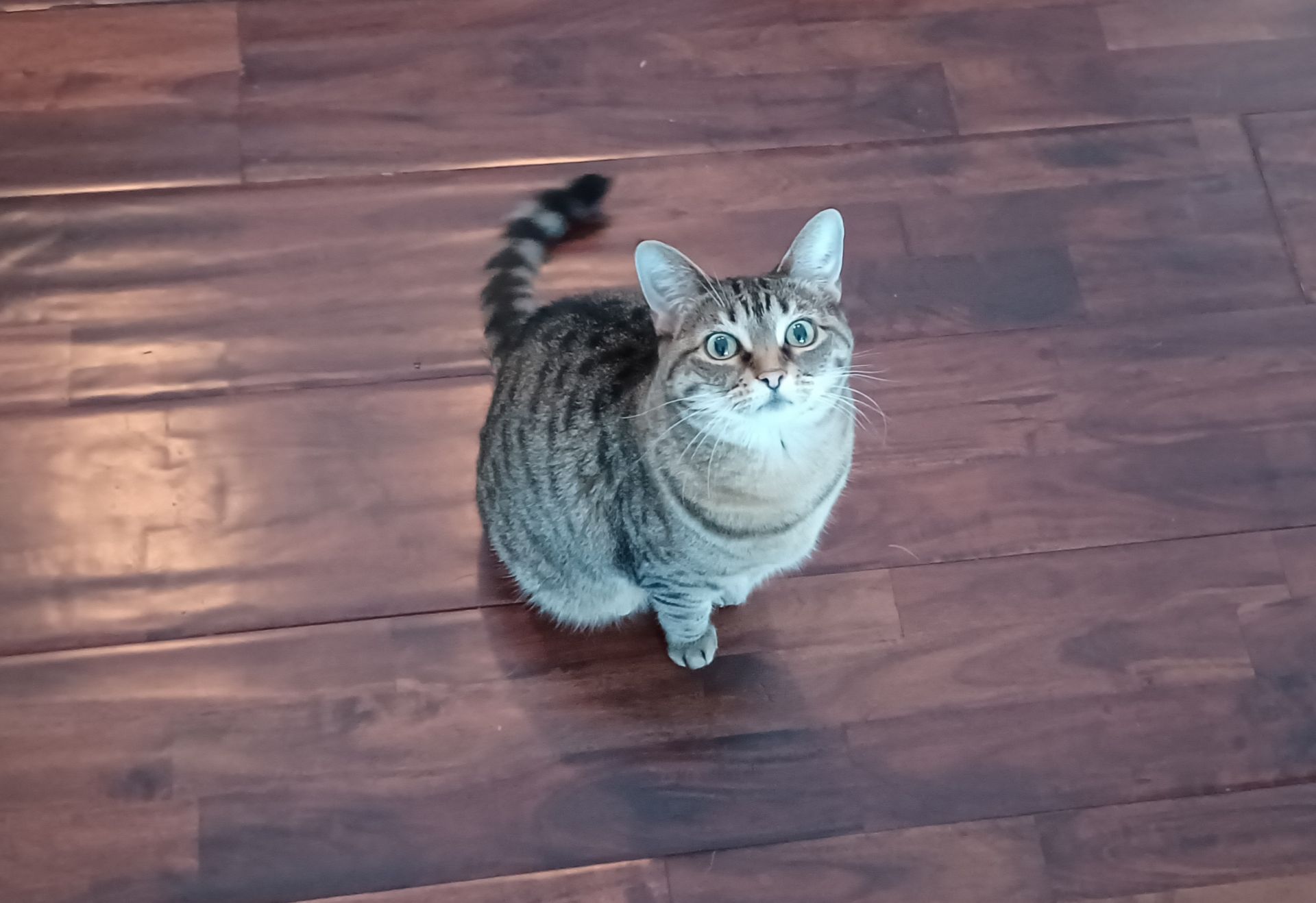 Maggie